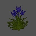 FLOWERS3.png